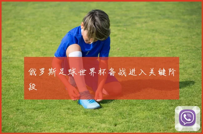 俄罗斯足球世界杯备战进入关键阶段