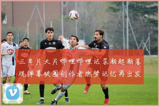 三年片大片哔哩哔哩记录潮起潮落观弹幕破圈创作者燃梦记忆再出发