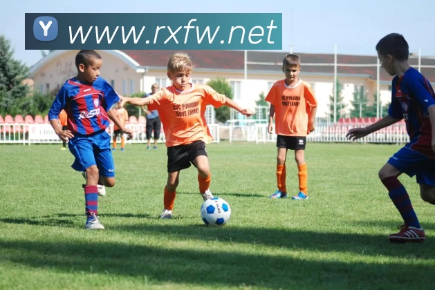 开云·kaiyun体育(中国大陆)官方网站 登录入口APP 封面图